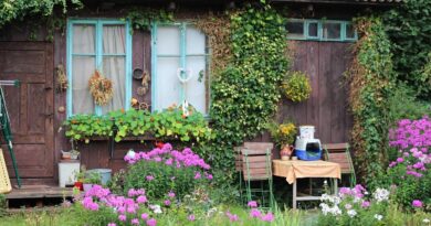 Domki drewniane całoroczne – plusy i minusy